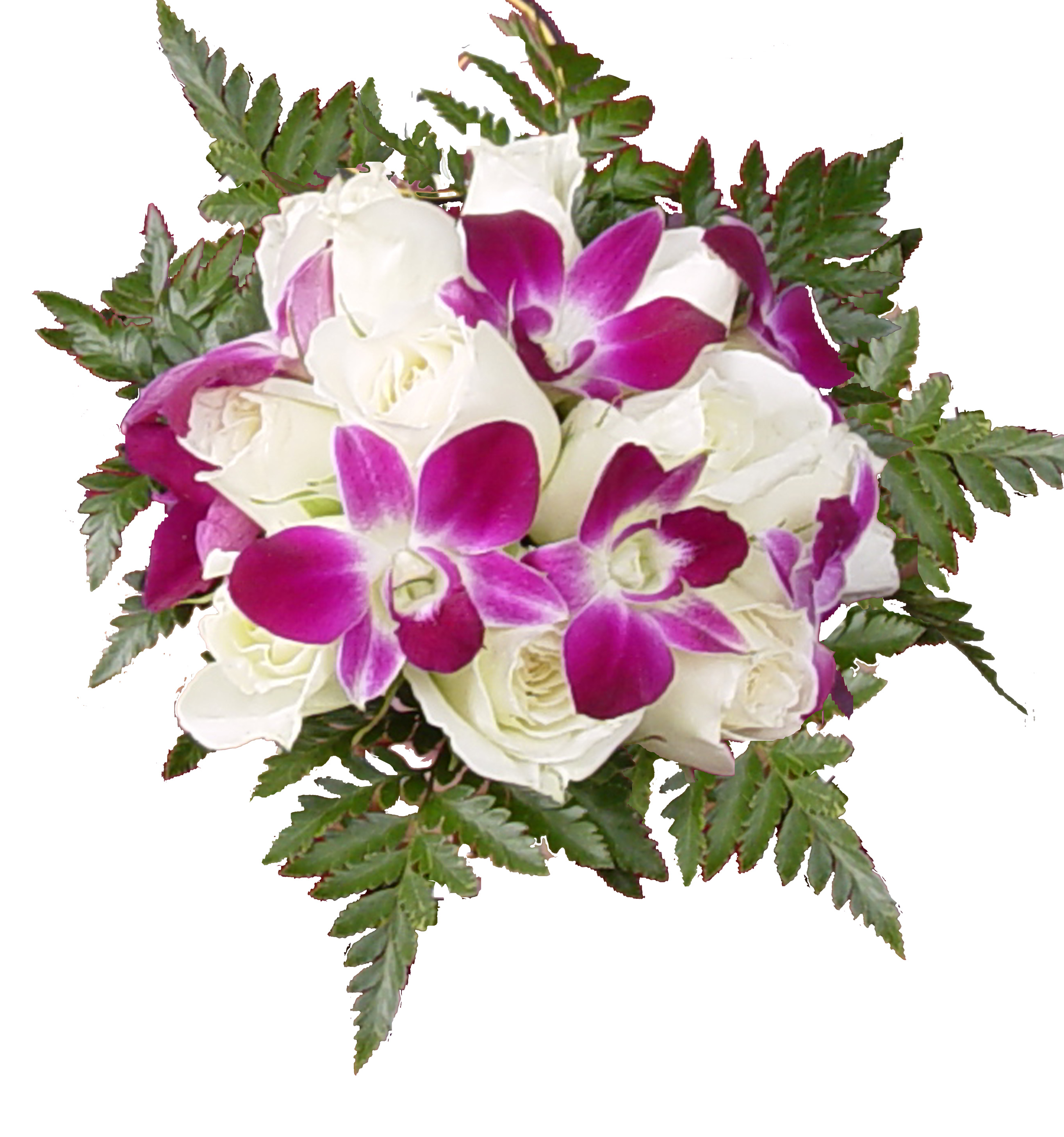 Букет из орхидей на белом фоне